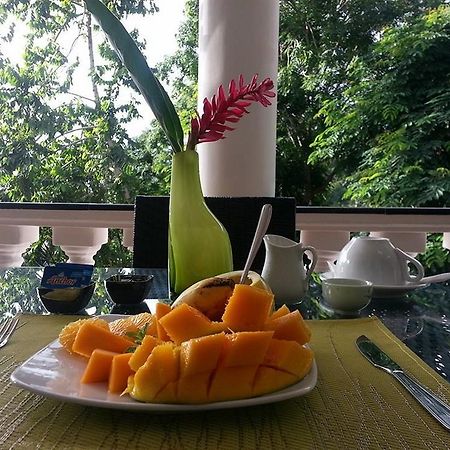 Lime Hill Lodge 安塞奥潘 外观 照片