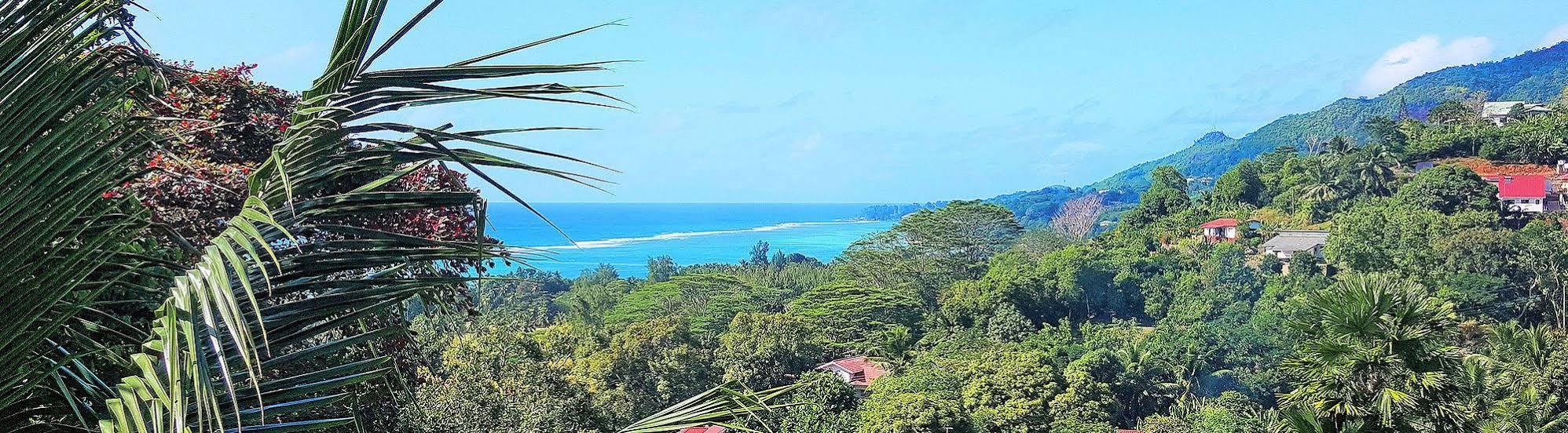 Lime Hill Lodge 安塞奥潘 外观 照片